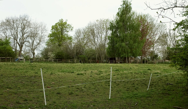 Field by Crewe's Lane
