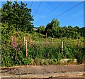 Waste ground in Henllys, Cwmbran