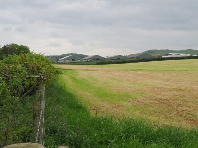Grass field near Kennetsideheads