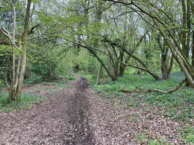 Dirt track by the Harrow Way © Mr Ignavy :: Geograph Britain and Ireland