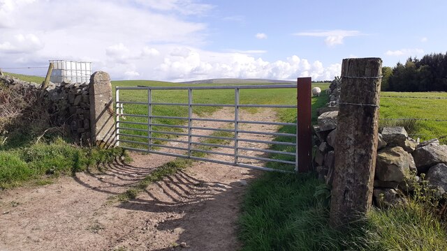 Field gateway on south side of road west of Cleugh Head