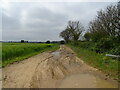 Track (byway) off Brightwell Road