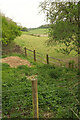 TQ3659 : Fields by Crewe's Lane by Derek Harper