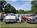SU8832 : Haslemere Classic Car Rally Revisited (4) by Basher Eyre