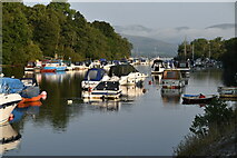NS3982 : River Leven by N Chadwick