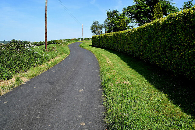 Tall hedge along Archill Road