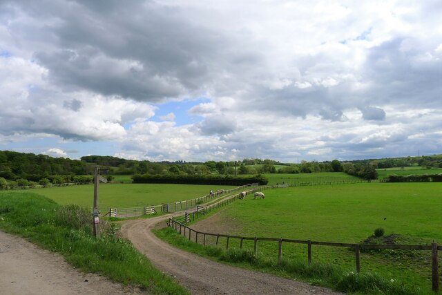 The Haugh from Farnley Hill