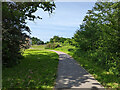 Path, Forge Wood, Crawley