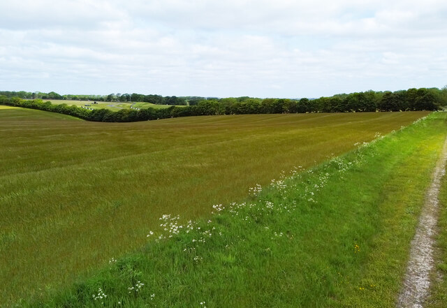 Field near Cadwell Park