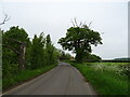 National Cycle Route 1 towards Framlingham