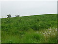 Hillside field off Kettleburgh Road