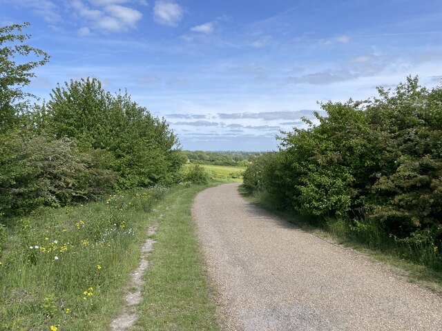 Cycle path in Old Down Woodland Park © Mr Ignavy :: Geograph Britain ...