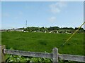 Dairy herd in pasture beside Offa