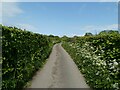 Rural lane