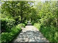 Steep sunlit lane