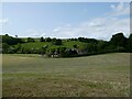 Rural property in the Tanat valley near Llanyblodwel