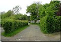 Track (footpath) off Framlingham Road