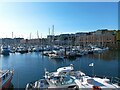 Milford Haven Marina