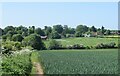 Winkburn village, visible across the fields..