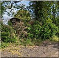 Glimpse of an old railway wagon, Upton Bishop