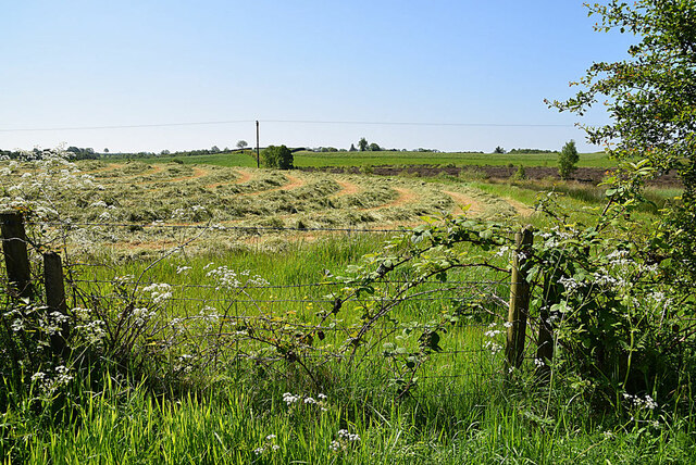 Cut grass, Eskermore