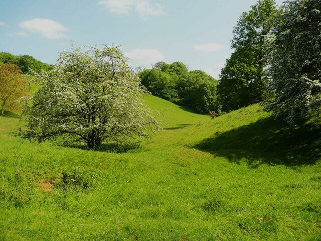 The dry valley below Wydale Hall, Snainton