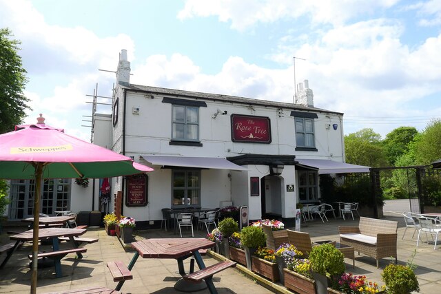 The Rose Tree, Shincliffe