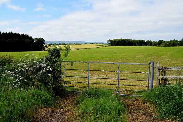 Gate and countryside, Beragh
