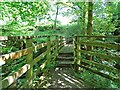 Footbridge over the River Roddlesworth