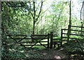 Gate and stile