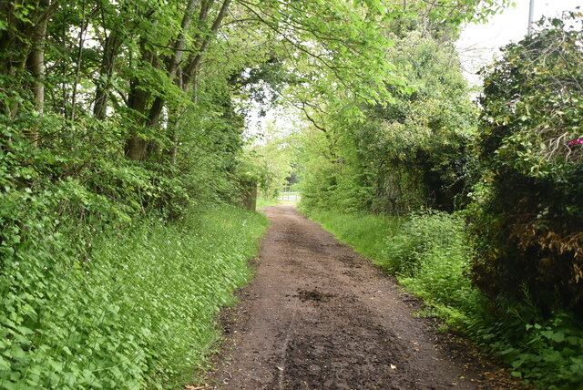 Skirsgill Lane © N Chadwick cc-by-sa/2.0 :: Geograph Britain and Ireland