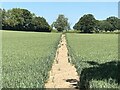 Path through field