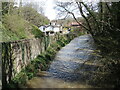 Upstream from Frenchay Bridge