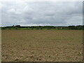 Sandy field off Ferry Road