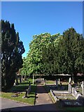 SJ3670 : Graveyard, All Saints Church, Saughall by David Smith