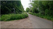 TL3571 : At Whitebridge on Overcote Lane, Needingworth by Gordon Brown