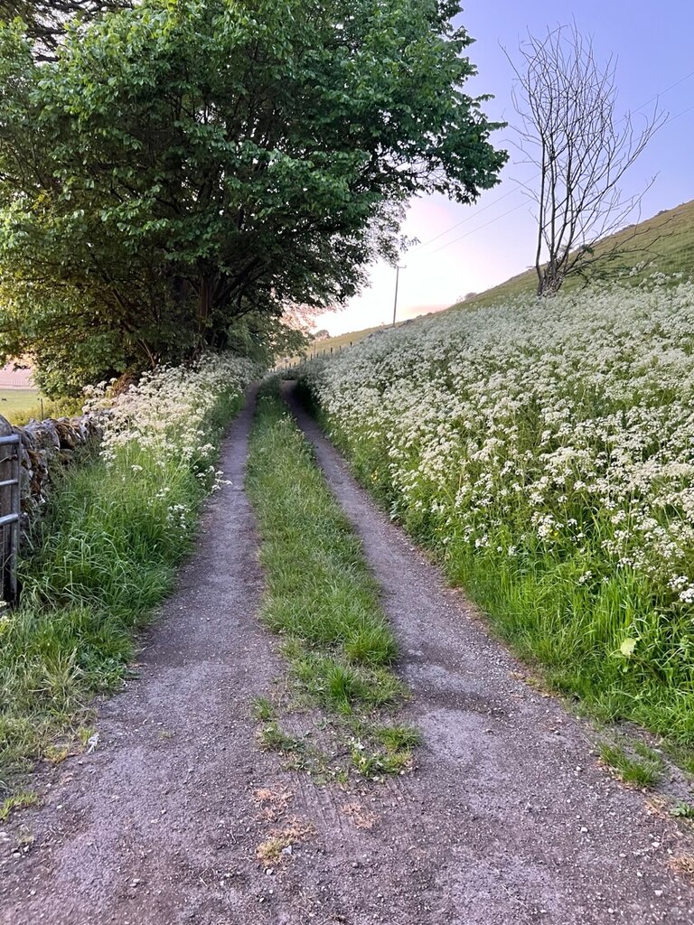 Rock Lane Jay Pea Cc By Sa Geograph Britain And Ireland