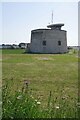 Martello Tower and Purple Salsify