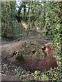 Disused lime kiln at Wenlock Edge