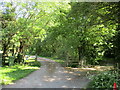 Entrances near Woodside Farm