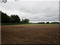 Prepared field near Dymock