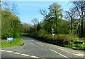 Quaker Road leading to Hailey Wood Sawmill