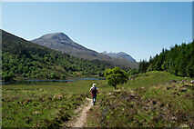 NH0155 : Path beside Loch Coulin by Julian Paren