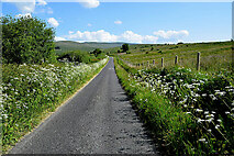 H4875 : Rylagh Road, Boheragh by Kenneth  Allen