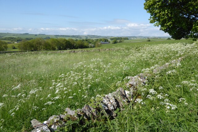 Farmland on Bole Hill
