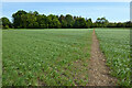 Farmland, Hilmarton