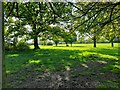 West Hendon playing fields