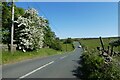 Askwith Moor Road passing Bank Foot