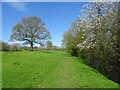 Path by the River Darwen