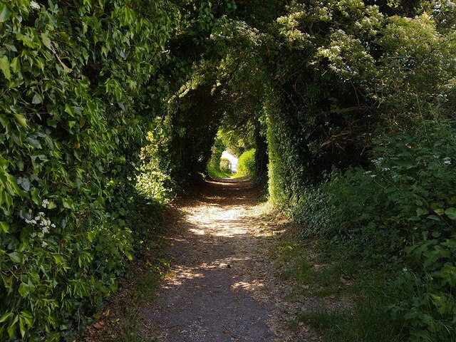 Wayfarer's Walk on Kings Way © Oscar Taylor cc-by-sa/2.0 :: Geograph ...